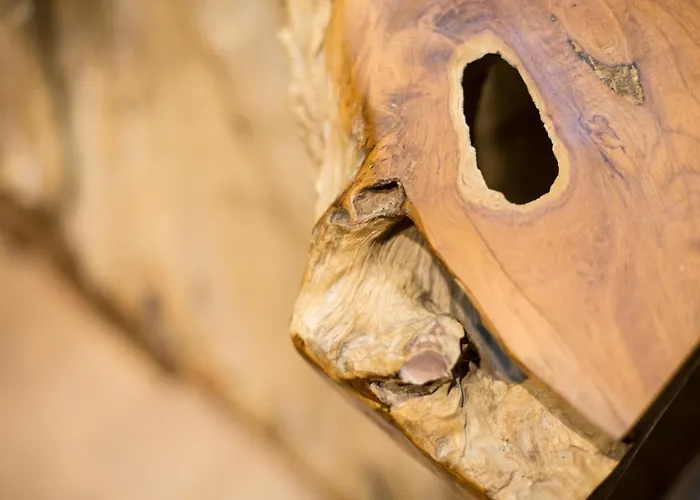 Art Al Boschetto Отель Кастель Вольтурно